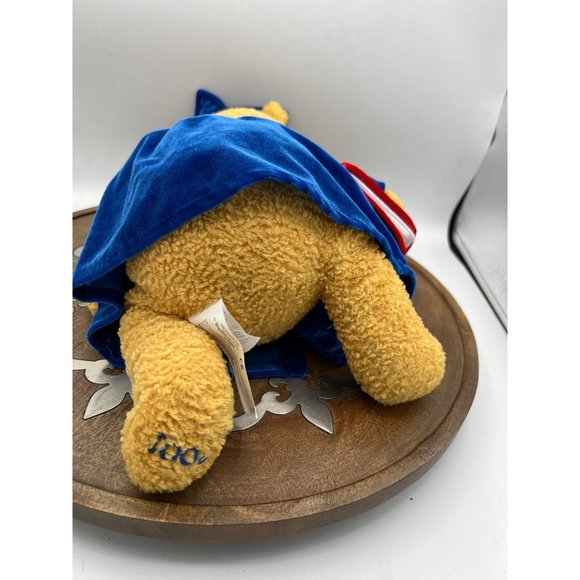 Walt Disney Winnie the Pooh 2001 Graduate Bear Soft Plush Toy Bear - Picture 10 of 16